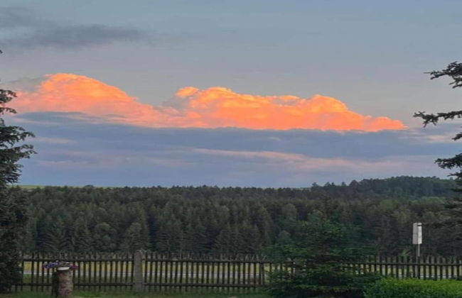 Ferienhaus im Harz Nahe Skipisten - Foto 36