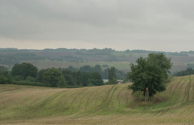 Luxurious Bungalow in Neustadt Harz With Private Terrace - Photo 40