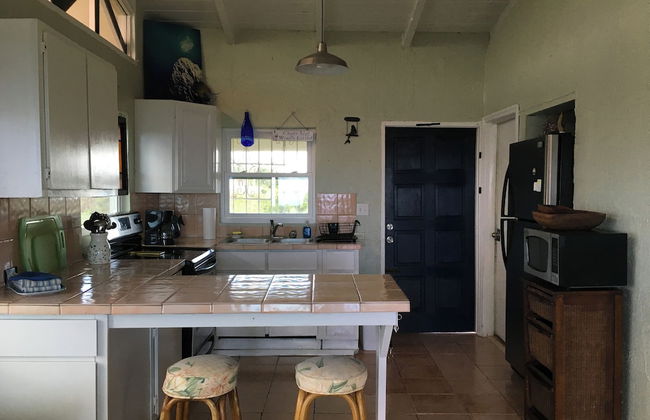 Bananaquit House - Photo 15