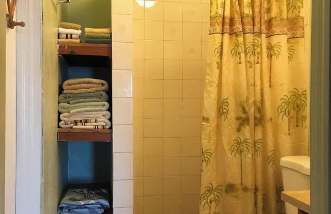 Bananaquit House - Photo 32