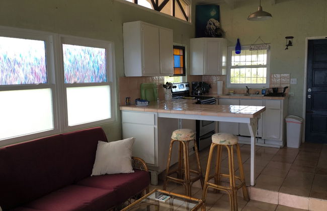 Bananaquit House - Photo 11