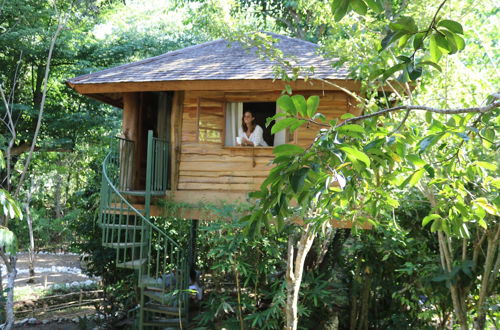 Foto 42 - Roots Tree House