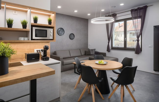 Vila Emona - Central Apartments - Free Parking - Foto 38