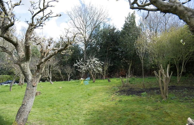 a Quirky Garden Building in an Orchard - Foto 10