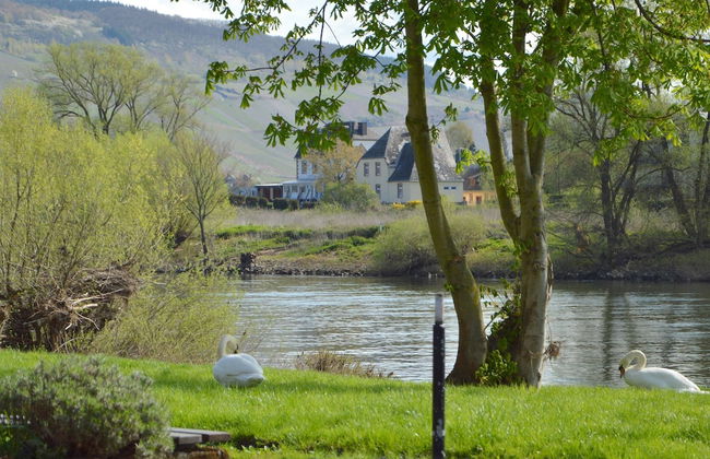 Classy Holiday Home in Rzig near Forest - Foto 38