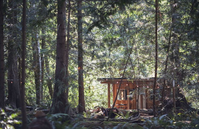 Heartwood Retreats - Photo 16