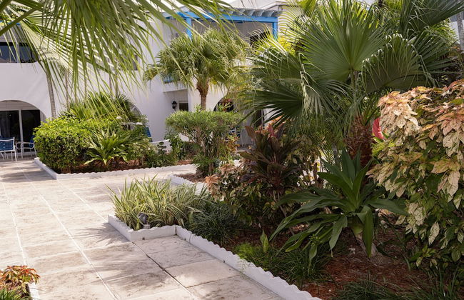 Beach Front Resort On Beautiful Beach Near Atlantis - Foto 38