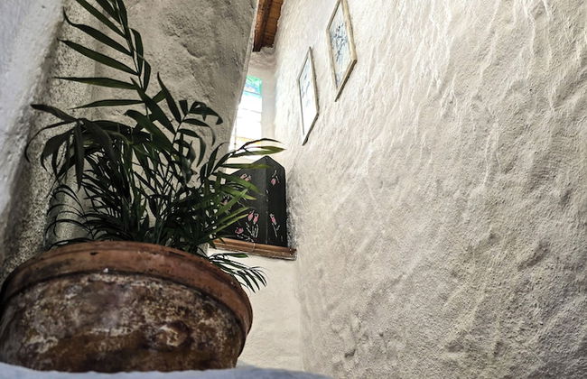 Casas rurales la Tejeruela - Photo 53