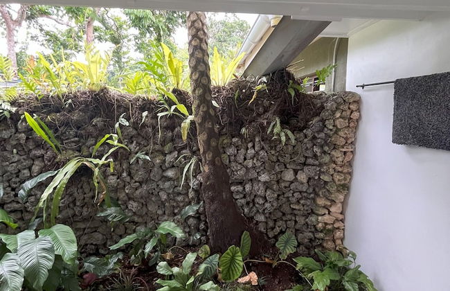 Eden on the River - Photo 32