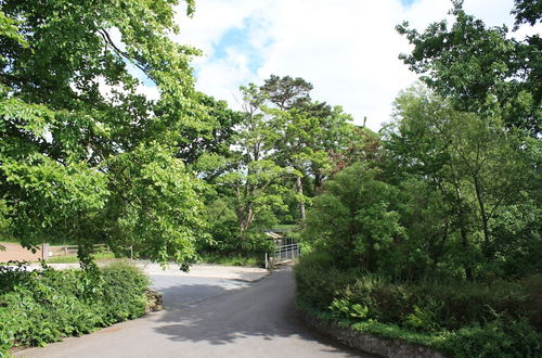 Photo 24 - Ballylagan Organic Farm