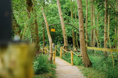 Photo 44 - Emlyn's Coppice - Woodland Glamping