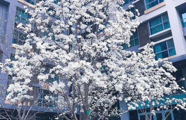 BEIJING SEASONS PARK APARTMENT - Foto 49