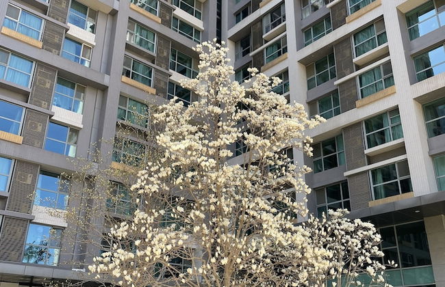 BEIJING SEASONS PARK APARTMENT - Foto 48