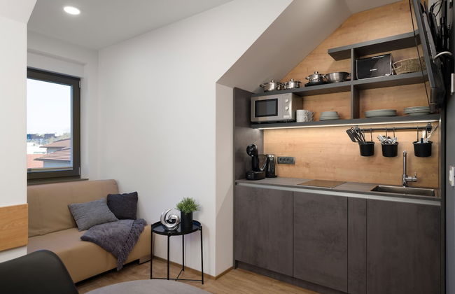 Vila Emona - Central Apartments - Free Parking - Foto 41