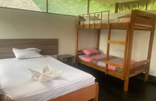 La Casa del Ayahuasca - Luz del Amazonas - Photo 3