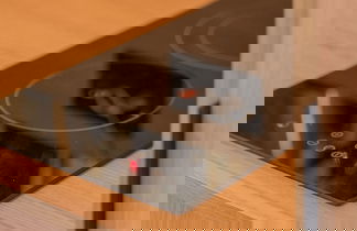 Photo 64 - Sarrouge S.a.r.l / Le Gabriel