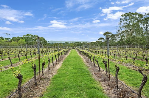 Foto 53 - Gisborne Peak Winery Cottages