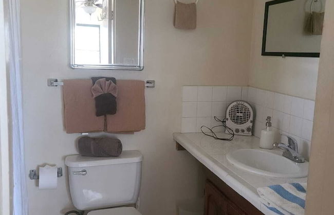 Bananaquit House - Photo 35