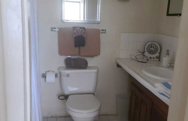 Bananaquit House - Photo 39