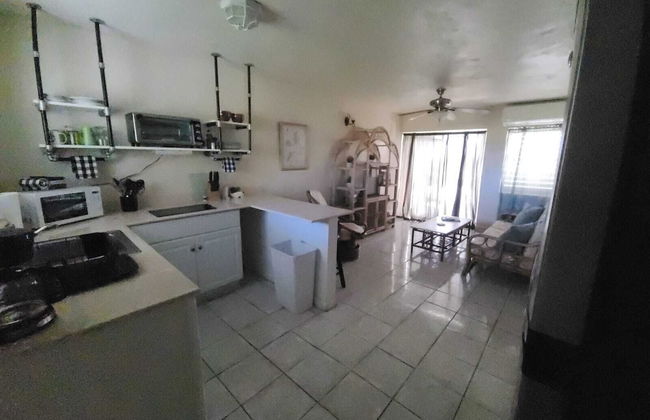 Bananaquit House - Photo 23