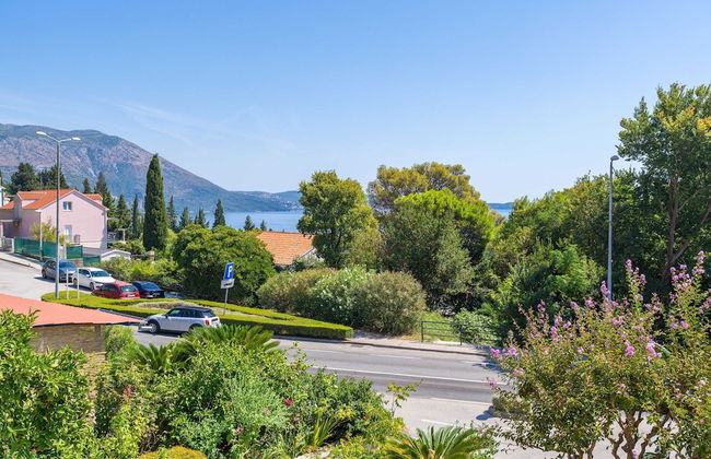 Apartments Djurkovic - Foto 56