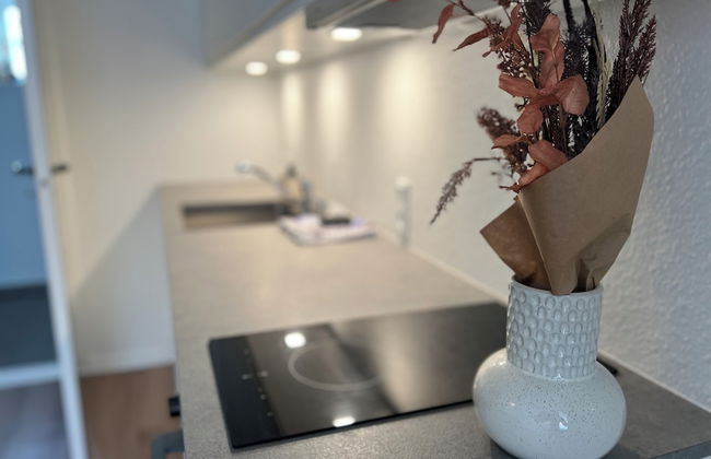 Cozy Flats Silkeborg - S1 - Foto 4