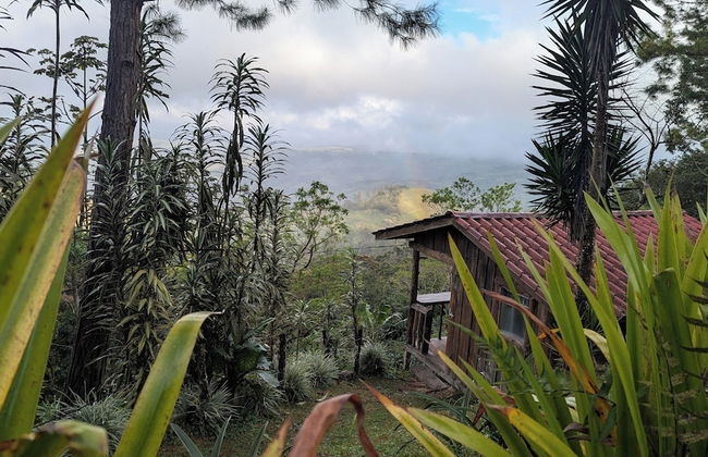 Campos de Oro Wilderness Lodge - Foto 20