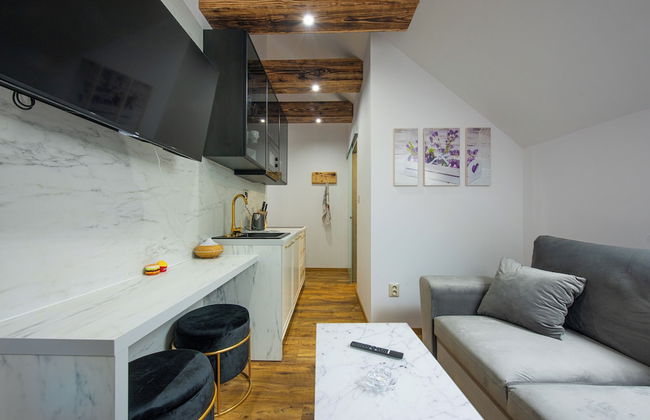 Apartmány Žakovce & SPA - Photo 44