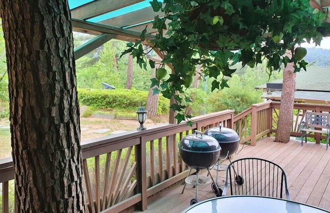 Castel on the hill pension - Photo 24