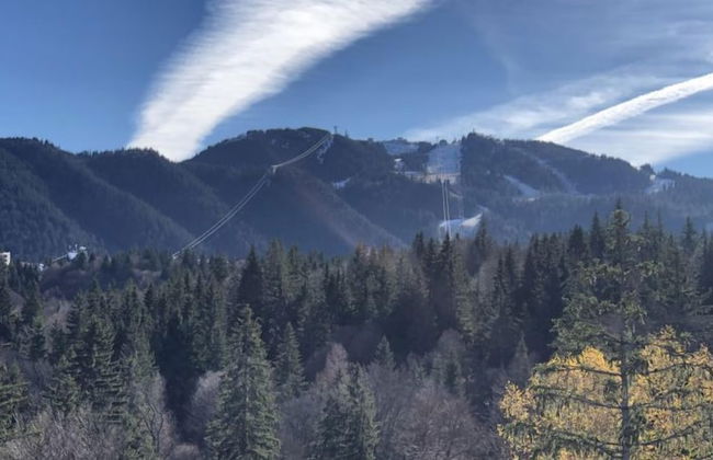 Elexus Poiana Brasov - Foto 64
