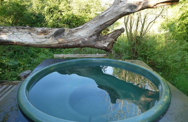 Roundhouse Yurt, Stunning Views, Totnes Dartmouth - Foto 5