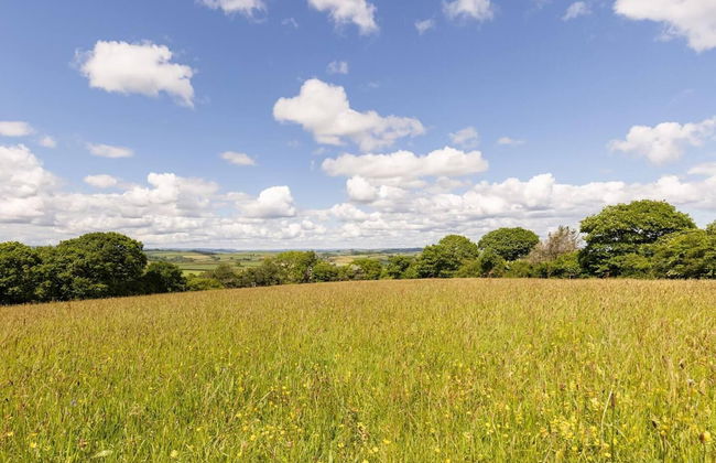 Roundhouse Yurt, Stunning Views, Totnes Dartmouth - Foto 7