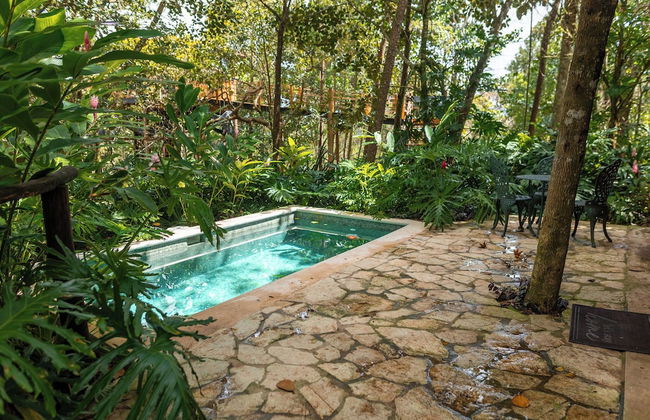 The Grand Forest Jarabacoa - Foto 74