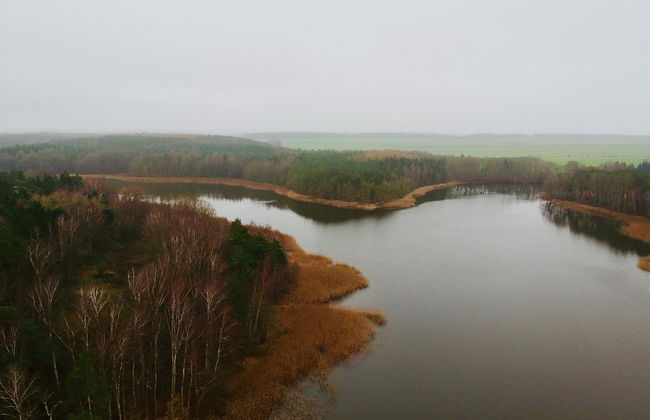 Flat in Neuburg Near the Baltic Sea Beach - Foto 27