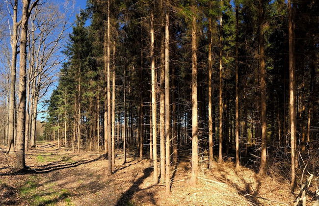 4 Person Holiday Home in Karrebaeksminde - Foto 13