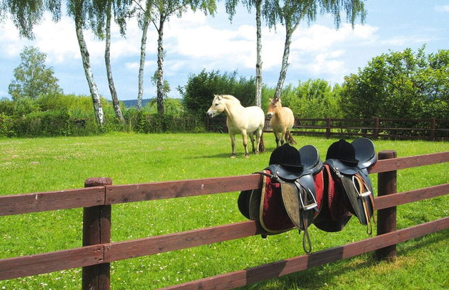 Seepark Heidenholz, Plau am See - Photo 39