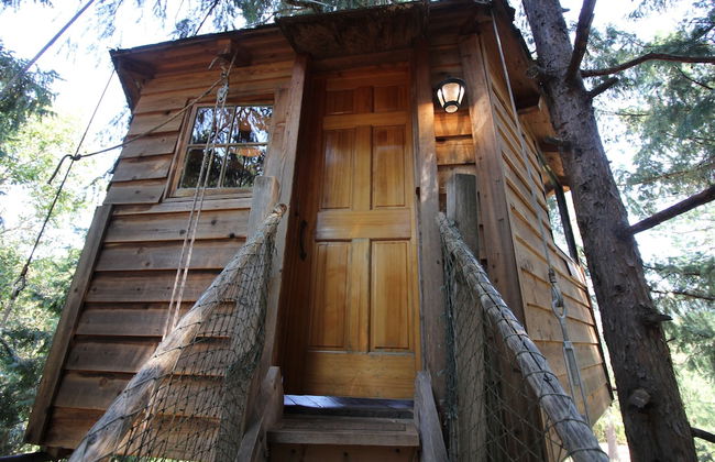 Out 'N' About Treehouse Treesort - Foto 9
