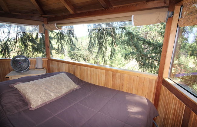 Out 'N' About Treehouse Treesort - Foto 19