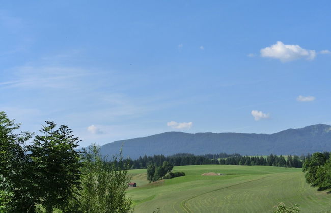 Appealing Apartment in Bad Bayersoien With Balcony - Foto 75