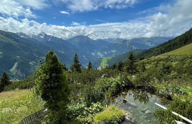 Comfortable Apartment in Mayrhofen With Garden - Photo 78