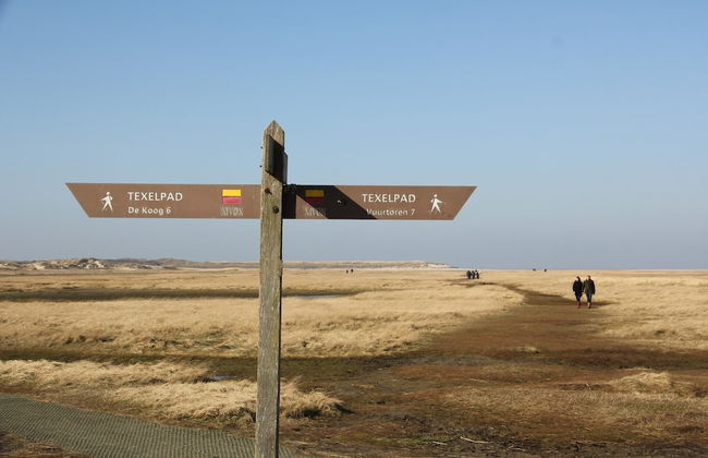 Lovely Holiday Home in Texel Near Sea - Foto 79