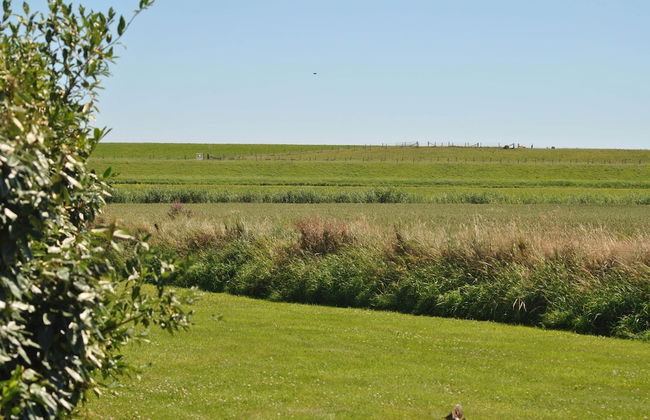 Lovely Holiday Home in Texel Near Sea - Foto 79