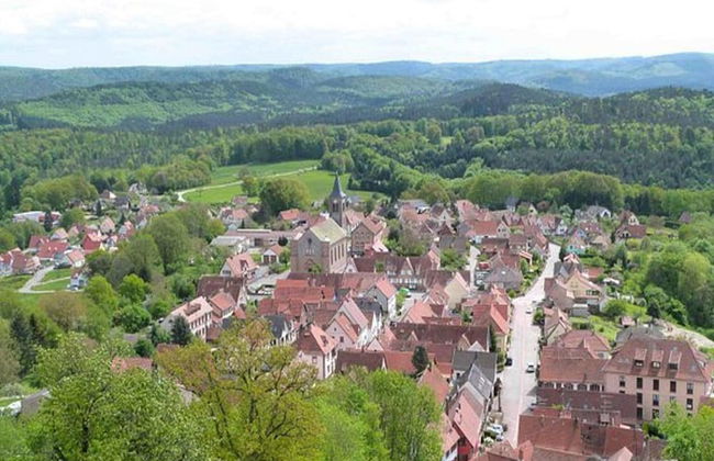 Cosy, Spacious Holiday Home, Northern Vosges - Foto 28