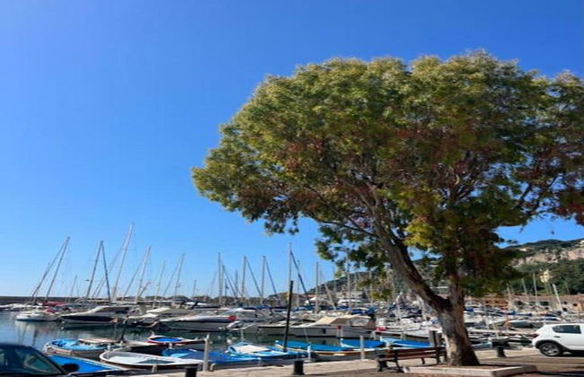 Apartment in Nice Near the Promenade des Anglais - Foto 40