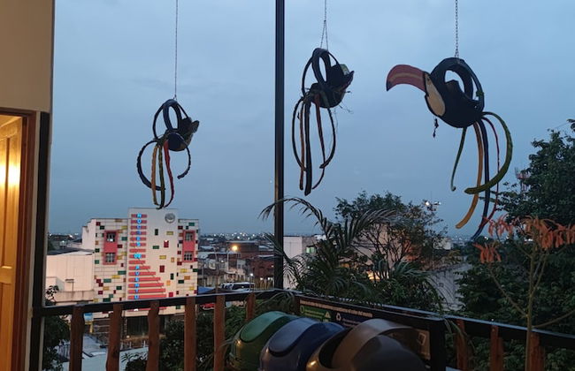 parrot house san antonio - Foto 15