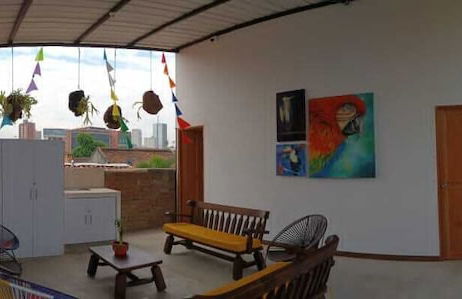 parrot house san antonio - Foto 12