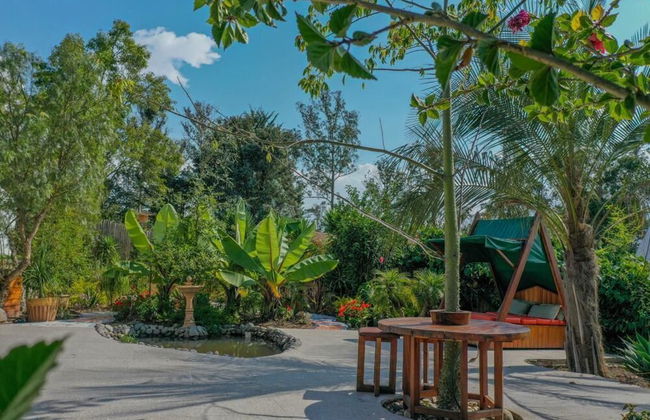 Samay Collections - Photo 5