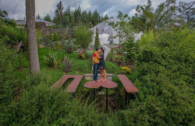 Samay Collections - Photo 6