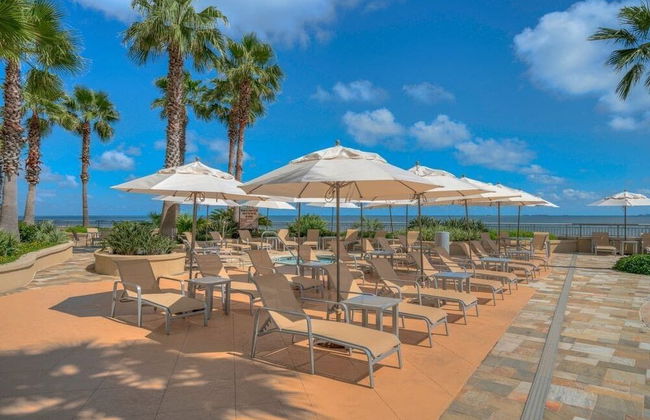 Palisade Palms Oceanfront Condo 5-star Amenities - Foto 7