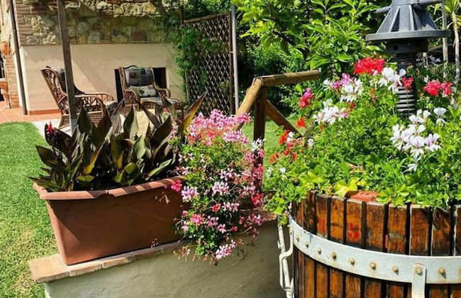 La Casa Del Sole in Casamaggiore - Foto 31